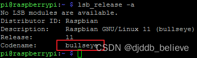 Raspberry Pi 06.png